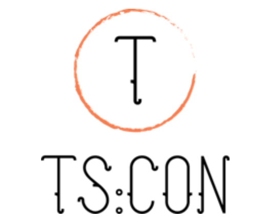 TS Consulting 